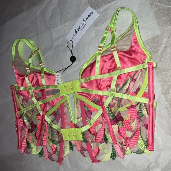 (38C) For Love And Lemons Petunia Embroidery Bustier - Picture 13 of 15